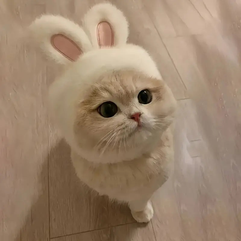 1pc Bunny Ears Cat Hat – Easter-Themed Knit Costume for Cats & Small Dogs