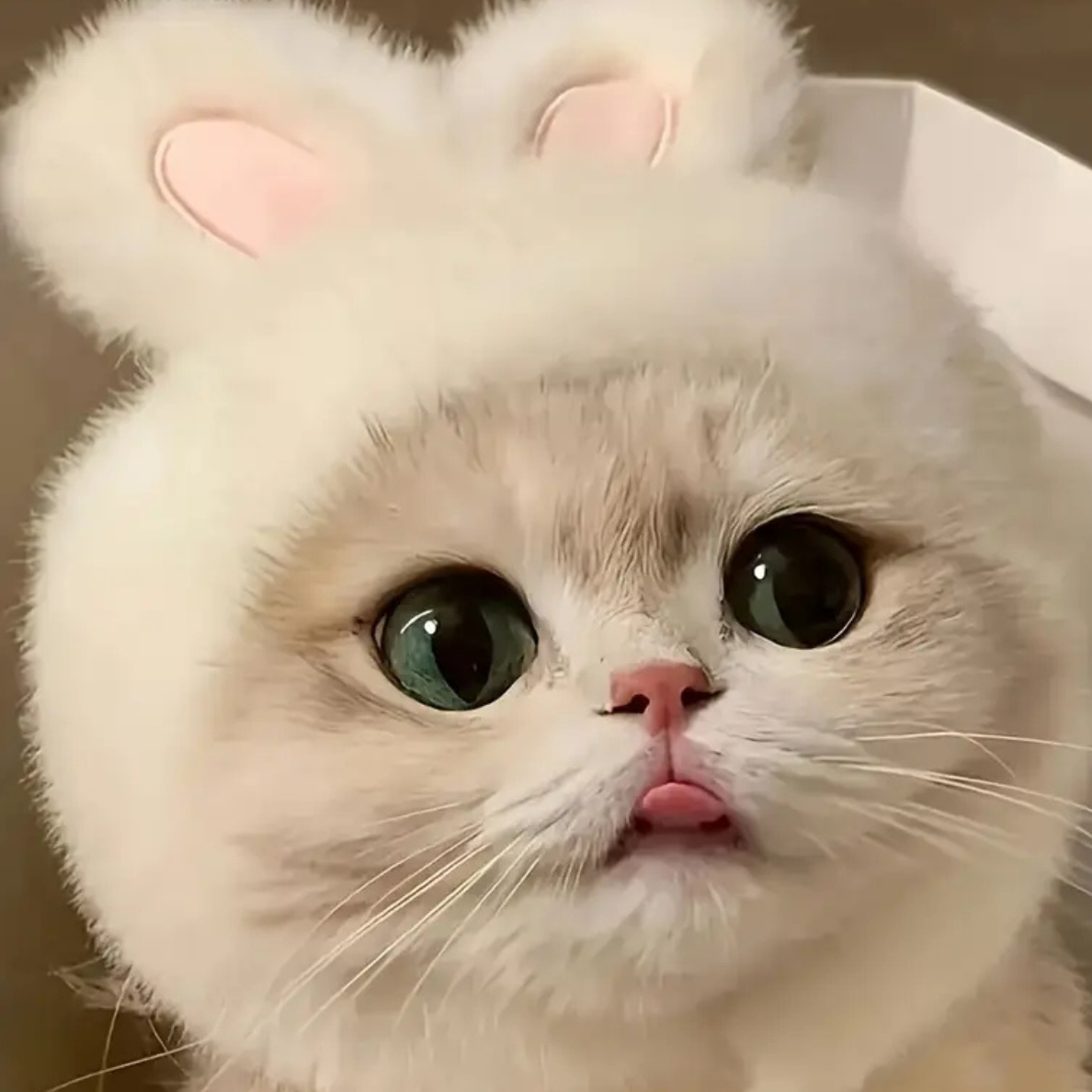 1pc Bunny Ears Cat Hat – Easter-Themed Knit Costume for Cats & Small Dogs