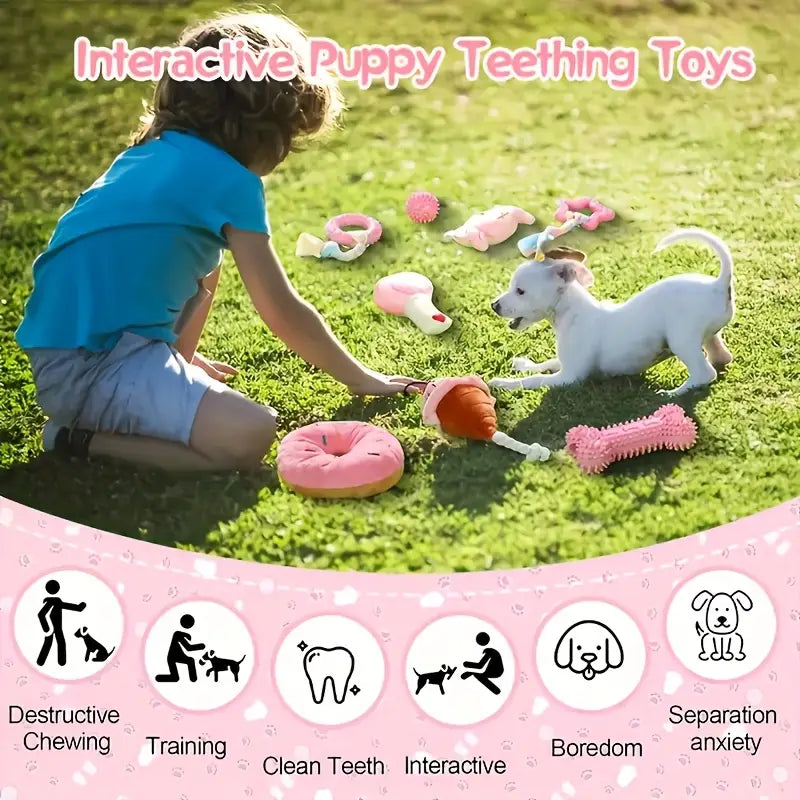 Set of 5 Pawsome Pals Dog Chew Toys – Durable, Non-Toxic & Dental-Friendly Fun