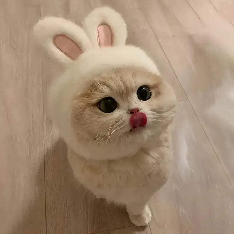1pc Bunny Ears Cat Hat – Easter-Themed Knit Costume for Cats & Small Dogs