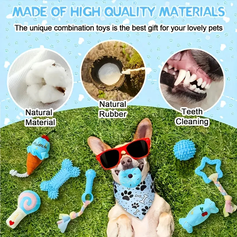 Set of 5 Pawsome Pals Dog Chew Toys – Durable, Non-Toxic & Dental-Friendly Fun