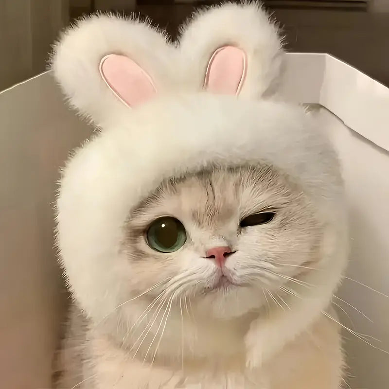 1pc Bunny Ears Cat Hat – Easter-Themed Knit Costume for Cats & Small Dogs
