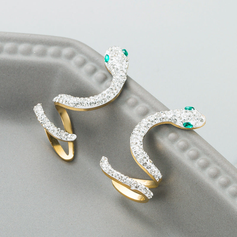 Trendy Titanium Steel Snake Earrings – Hollow Fashion Creative Jewelry