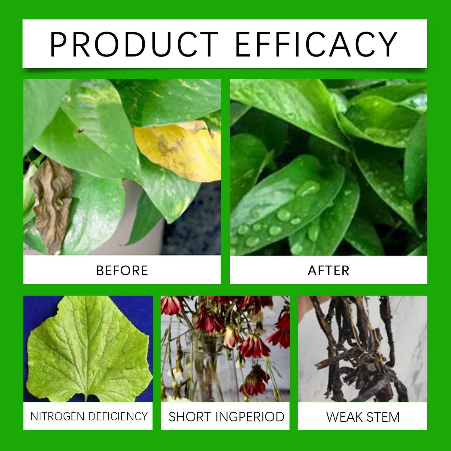 Home Gardening Plant Nutrient Solution – Powerful Leaf Repair & Growth Formula for Indoor and Outdoor Plants