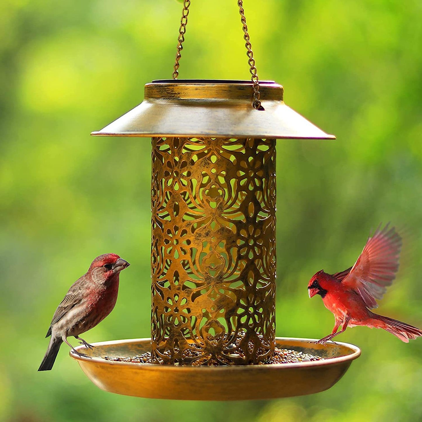 Outdoor Solar Powered Lamp & Metal Hanging Bird Feeder – Dual-Purpose Feeding and Watering Decorative Lamp
