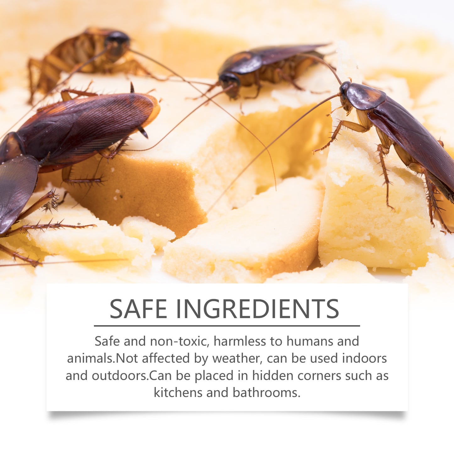 Kill Cockroach Glue Bait – Powerful Odor-Free Cockroach Killer for Kitchen, Bedroom & Living Room