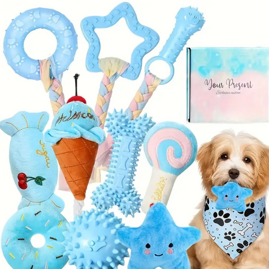 Set of 5 Pawsome Pals Dog Chew Toys – Durable, Non-Toxic & Dental-Friendly Fun