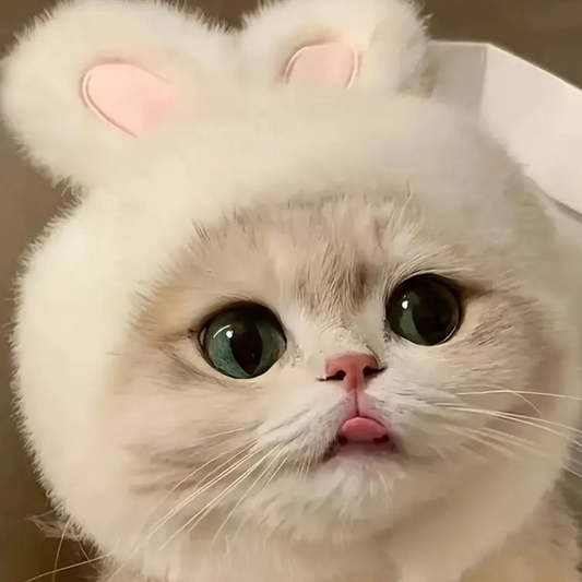 1pc Bunny Ears Cat Hat – Easter-Themed Knit Costume for Cats & Small Dogs